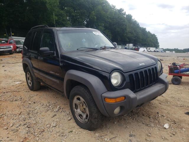 JEEP LIBERTY SP 2003 with VIN 1J4GL48K13W674933 - Photo from auction