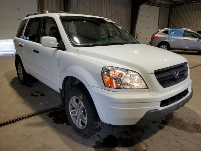 HONDA PILOT EXL 2005 with VIN 5FNYF18525B067912 - Photo from auction