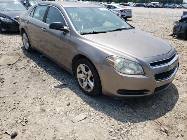 CHEVROLET MALIBU LS 2010 with VIN 1G1ZA5E06AF186211 - Photo from auction