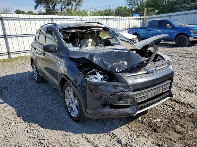 Photo 1 from auction – 2014 FORD ESCAPE SE with VIN 1FMCU9G94EUB03816