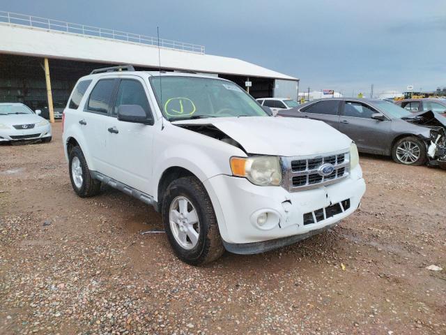 FORD ESCAPE XLT 2011 with VIN 1FMCU0DG6BKB74084 - Photo from auction
