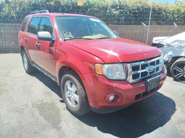 FORD ESCAPE XLT 2010 with VIN 1FMCU0DG2AKA45290 - Photo from auction