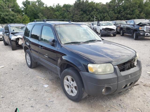 FORD ESCAPE XLT 2006 with VIN 1FMYU03166KA13310 - Photo from auction