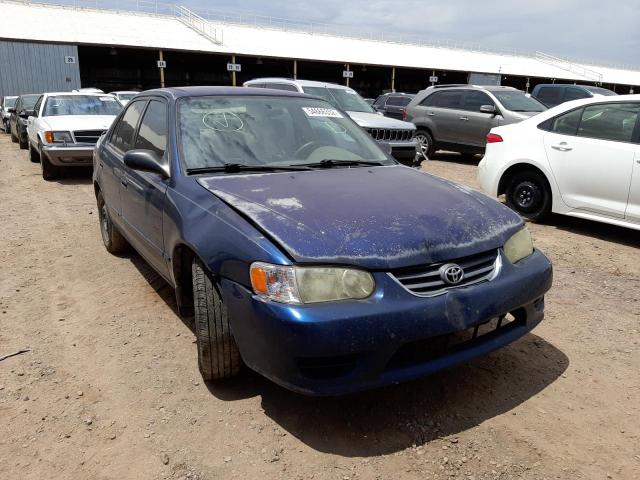 TOYOTA COROLLA CE 2001 with VIN 1NXBR12E81Z442608 - Photo from auction