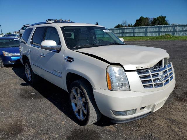 CADILLAC ESCALADE L 2008 with VIN 1GYFK63868R131055 - Photo from auction
