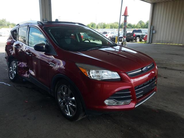 FORD ESCAPE SE 2014 with VIN 1FMCU0GX2EUD78028 - Photo from auction