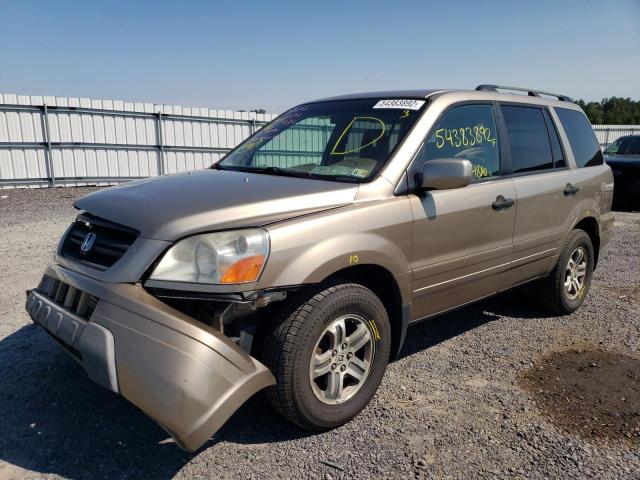 Photo 2 from auction – 2005 HONDA PILOT EXL with VIN 5FNYF18595B007934