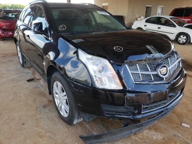 CADILLAC SRX 2011 with VIN 3GYFNGEY7BS646080 - Photo from auction