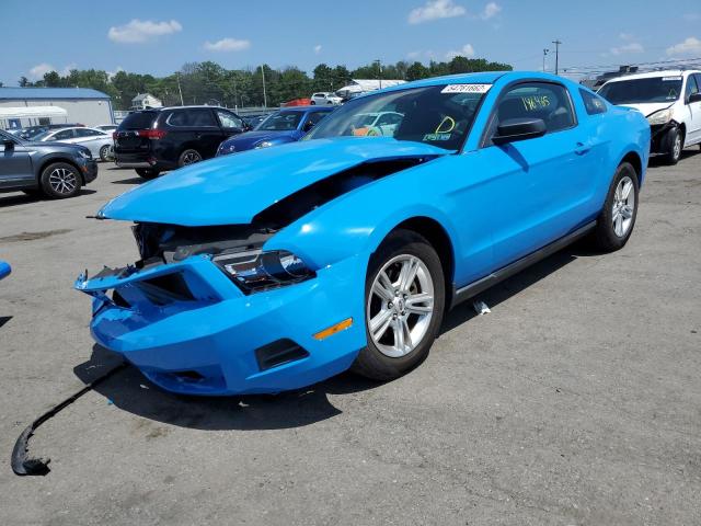 Photo 2 from auction – 2011 FORD MUSTANG with VIN 1ZVBP8AM3B5146190