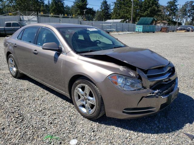 CHEVROLET MALIBU 1LT 2010 with VIN 1G1ZC5EB4AF292054 - Photo from auction