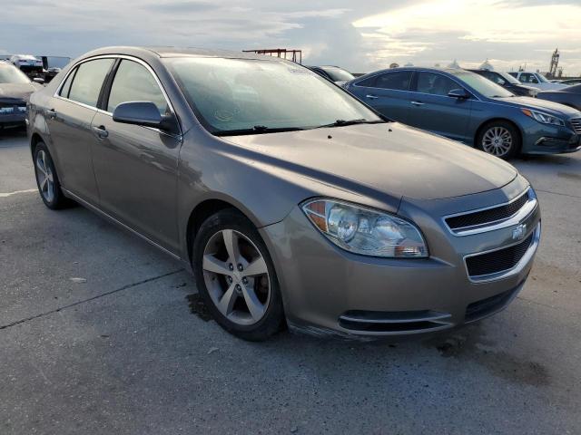 CHEVROLET MALIBU 1LT 2011 with VIN 1G1ZC5E1XBF373536 - Photo from auction