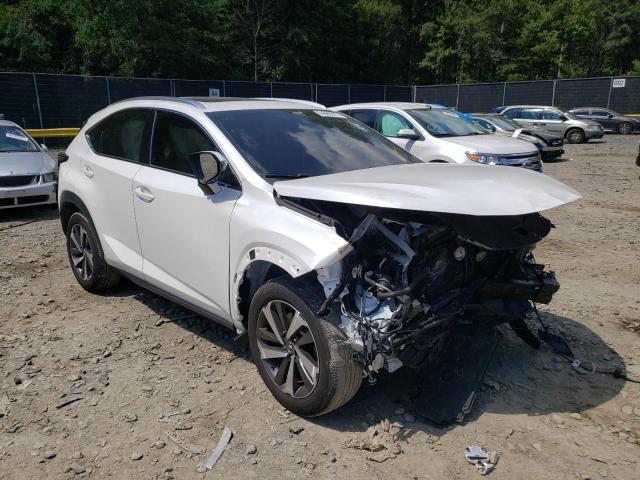 LEXUS NX 300 BAS 2018 with VIN JTJBARBZ8J2158613 - Photo from auction