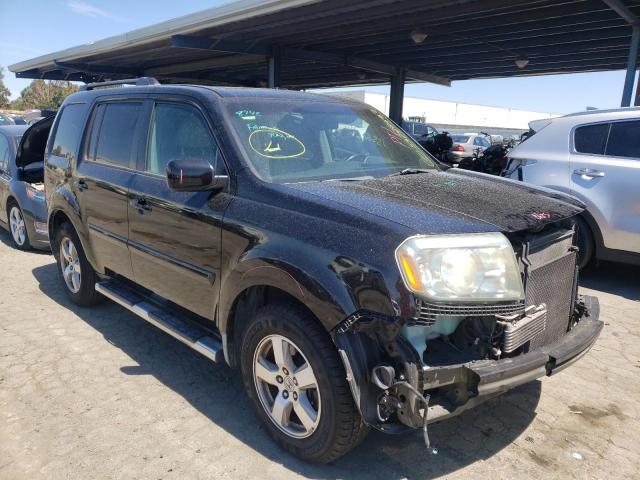 HONDA PILOT EXL 2009 with VIN 5FNYF48519B050753 - Photo from auction