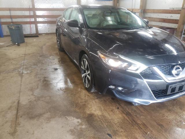 NISSAN MAXIMA 3.5 2017 with VIN 1N4AA6AP0HC385379 - Photo from auction