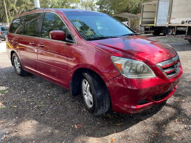 HONDA ODYSSEY EX 2006 with VIN 5FNRL38796B419220 - Photo from auction