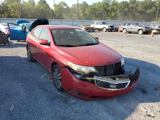 KIA FORTE EX 2013 with VIN KNAFU4A29D5698782 - Photo from auction