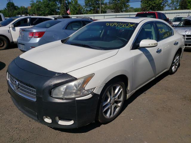 Photo 2 from auction – 2011 NISSAN MAXIMA S with VIN 1N4AA5AP3BC834653
