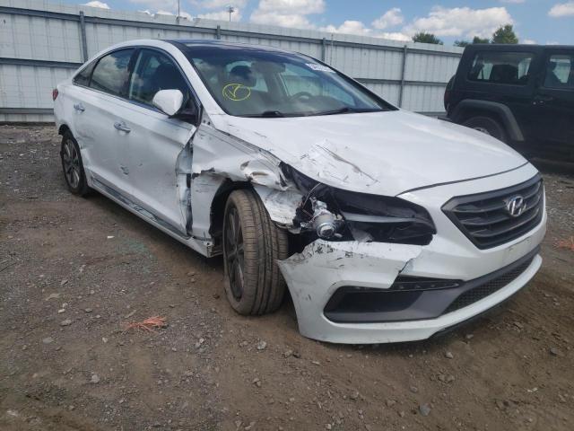 HYUNDAI SONATA SPO 2016 with VIN 5NPE34AF6GH341097 - Photo from auction