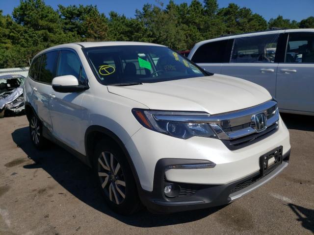 HONDA PILOT EXL 2019 with VIN 5FNYF6H51KB081891 - Photo from auction