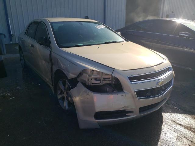 CHEVROLET MALIBU LS 2010 with VIN 1G1ZB5EB0AF313016 - Photo from auction