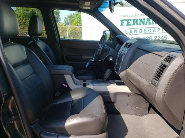 Photo 5 from auction – 2008 FORD ESCAPE XLT with VIN 1FMCU03ZX8KD50808