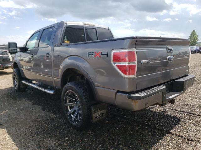 Photo 3 from auction – 2010 FORD F150 SUPER with VIN 1FTFW1EV3AFC12151