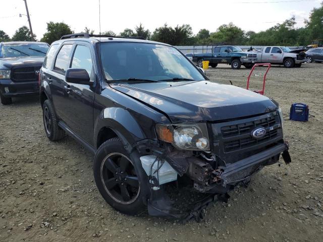 FORD ESCAPE XLT 2010 with VIN 1FMCU9DG9AKD24367 - Photo from auction