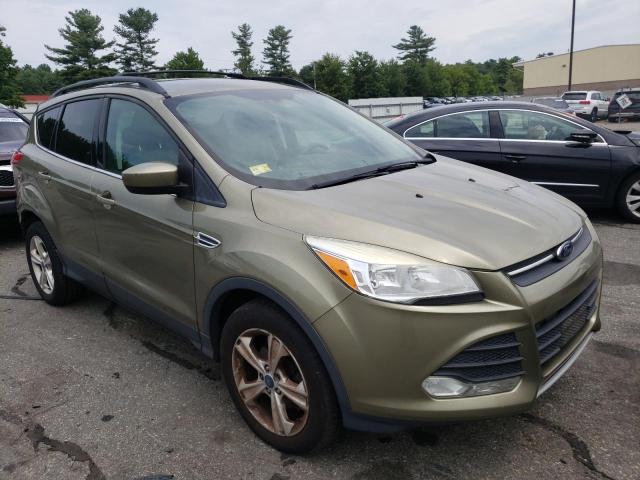 FORD ESCAPE SE 2013 with VIN 1FMCU0GX8DUC79955 - Photo from auction