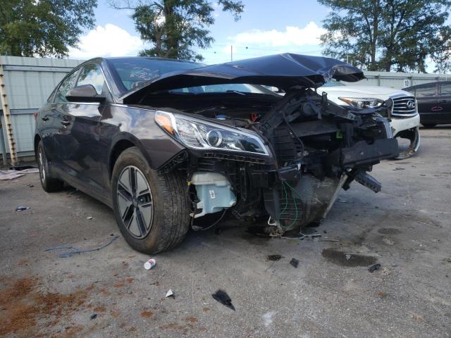 HYUNDAI SONATA SE 2016 with VIN 5NPE24AF1GH279112 - Photo from auction