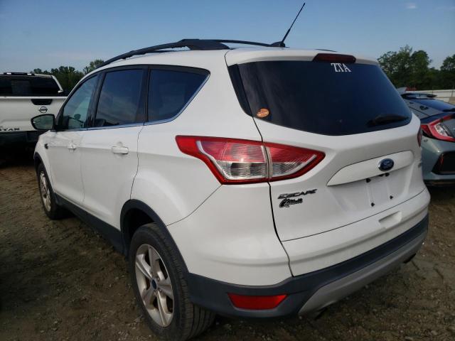 Photo 3 from auction – 2013 FORD ESCAPE SE with VIN 1FMCU0GX5DUD63568