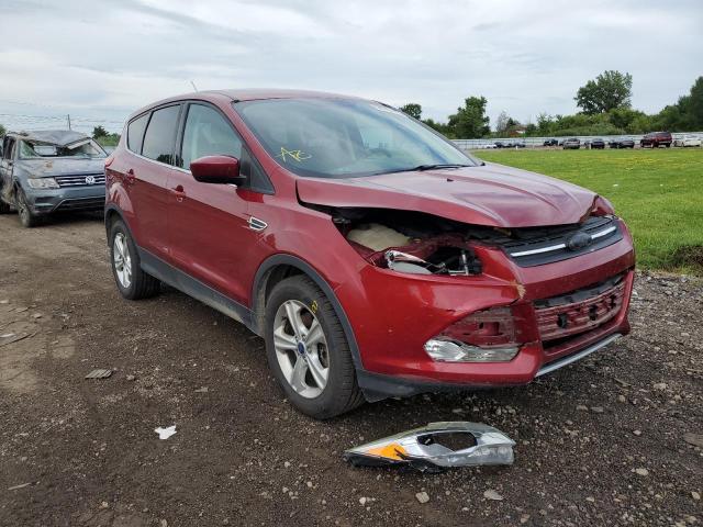 FORD ESCAPE SE 2014 with VIN 1FMCU9G91EUC17806 - Photo from auction