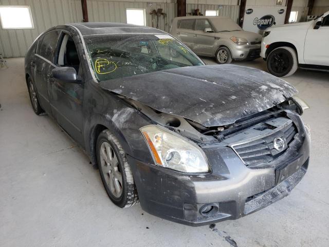 NISSAN MAXIMA SE 2008 with VIN 1N4BA41E38C810343 - Photo from auction