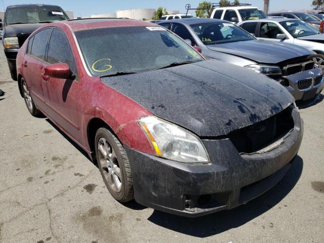 NISSAN MAXIMA SE 2007 with VIN 1N4BA41E37C858729 - Photo from auction
