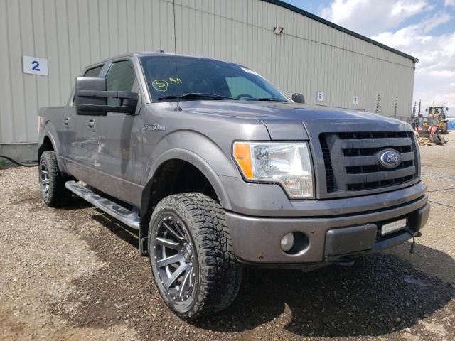 FORD F150 SUPER 2010 with VIN 1FTFW1EV3AFC12151 - Photo from auction