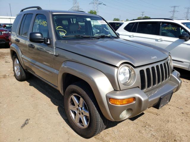 JEEP LIBERTY LI 2003 with VIN 1J4GL58K73W613186 - Photo from auction