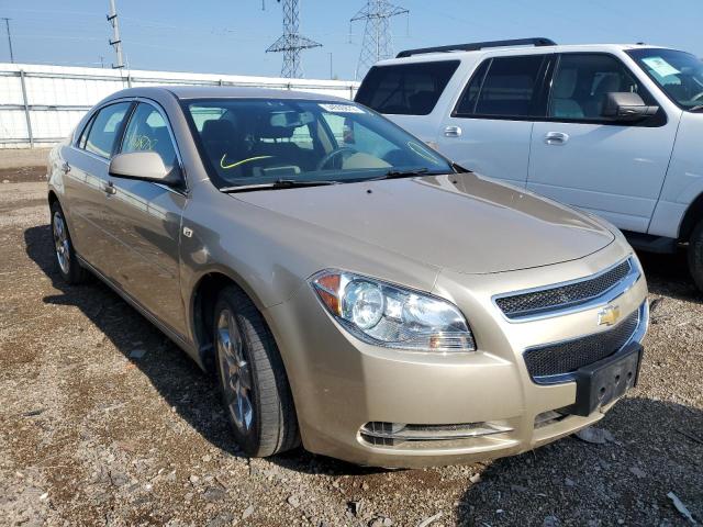 CHEVROLET MALIBU 1LT 2008 with VIN 1G1ZH57B28F283958 - Photo from auction