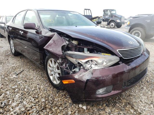 LEXUS ES 330 2004 with VIN JTHBA30G940020093 - Photo from auction