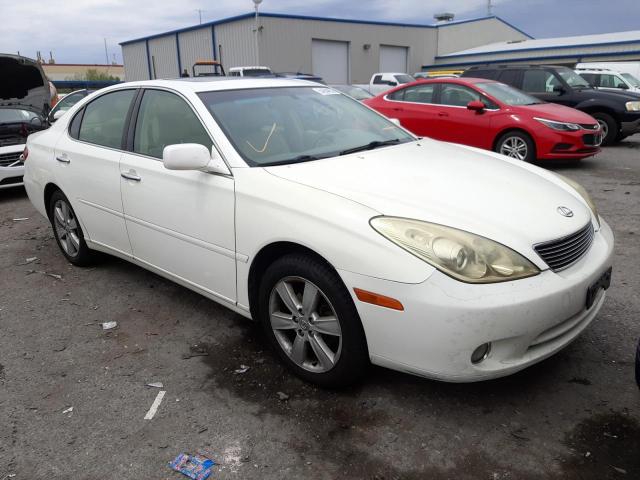 LEXUS ES 330 2005 with VIN JTHBA30G655077789 - Photo from auction