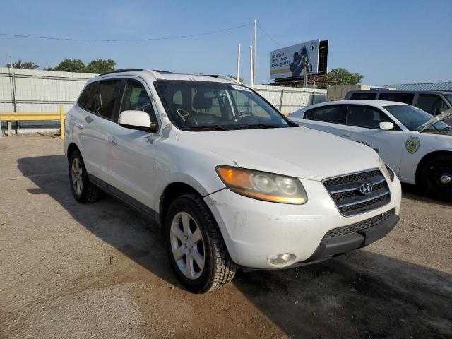 HYUNDAI SANTA FE S 2009 with VIN 5NMSH13E29H257205 - Photo from auction