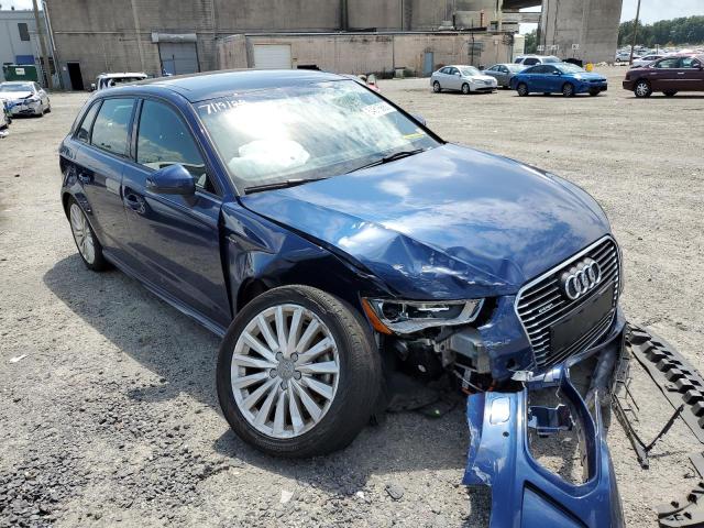 AUDI A3 E-TRON 2016 with VIN WAUUPBFF3GA101099 - Photo from auction