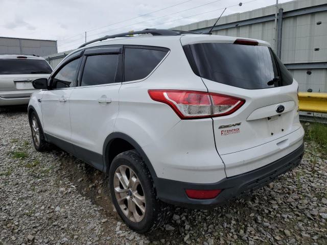 Photo 3 from auction – 2013 FORD ESCAPE SE with VIN 1FMCU0GX5DUC69304