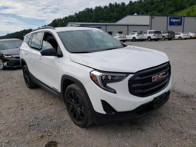 GMC TERRAIN SL 2021 with VIN 3GKALTEVXML386103 - Photo from auction