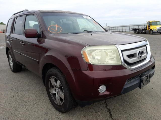 HONDA PILOT EXL 2011 with VIN 5FNYF3H54BB014460 - Photo from auction