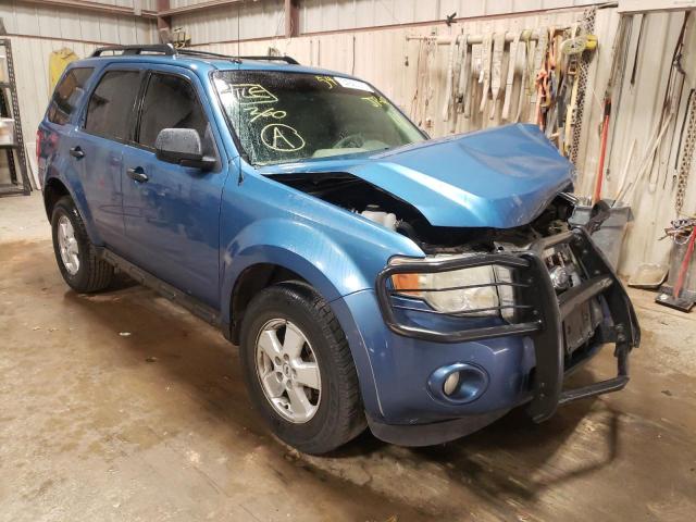 FORD ESCAPE XLT 2009 with VIN 1FMCU03G29KA15185 - Photo from auction