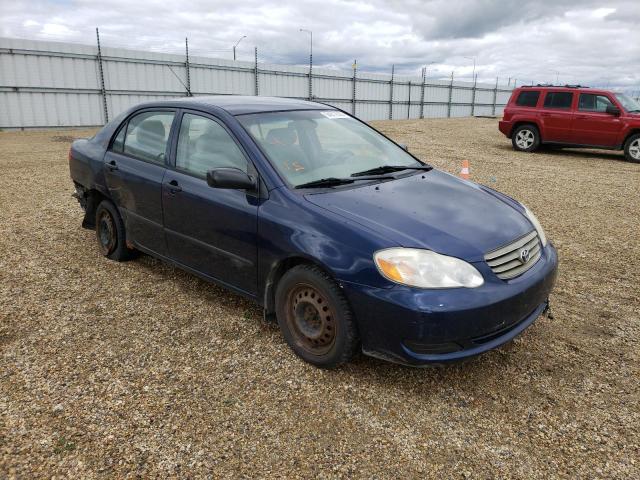 TOYOTA COROLLA CE 2003 with VIN 2T1BR32E93C772841 - Photo from auction