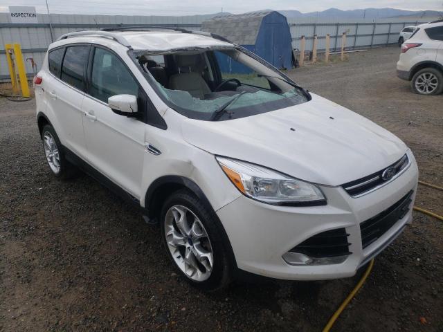 FORD ESCAPE TIT 2014 with VIN 1FMCU9J97EUC08830 - Photo from auction