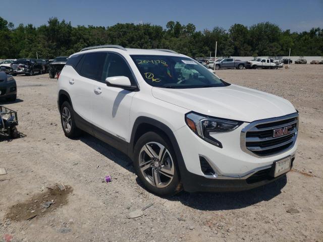GMC TERRAIN SL 2020 with VIN 3GKALVEV5LL204172 - Photo from auction