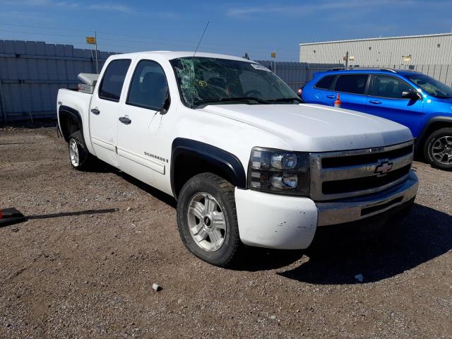 CHEVROLET SILVERADO 2009 with VIN 2GCEK13C191102498 - Photo from auction