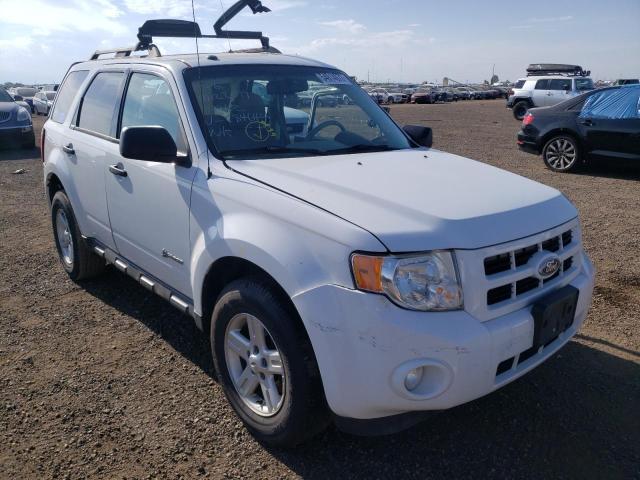 FORD ESCAPE HYB 2010 with VIN 1FMCU5K34AKC84644 - Photo from auction