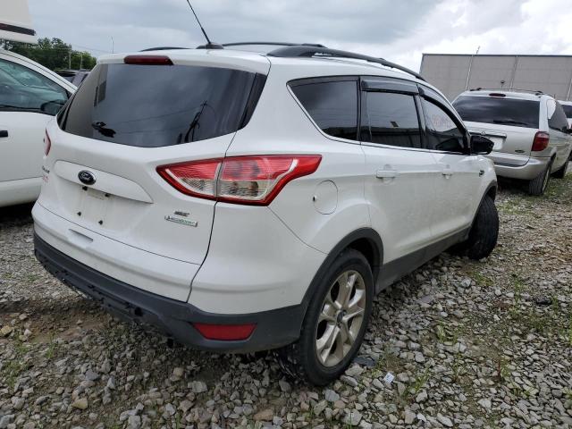 Photo 4 from auction – 2013 FORD ESCAPE SE with VIN 1FMCU0GX5DUC69304